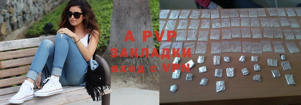 ECSTASY Богородск