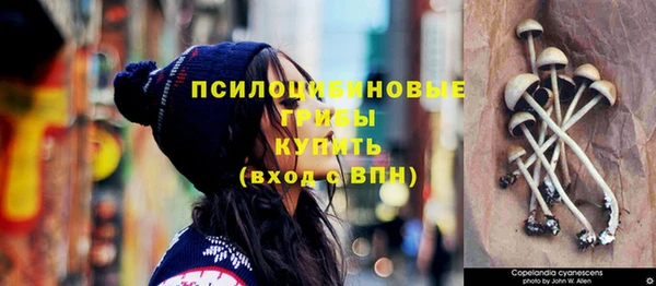 ECSTASY Богородск